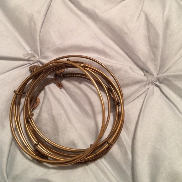 Alex an Ani