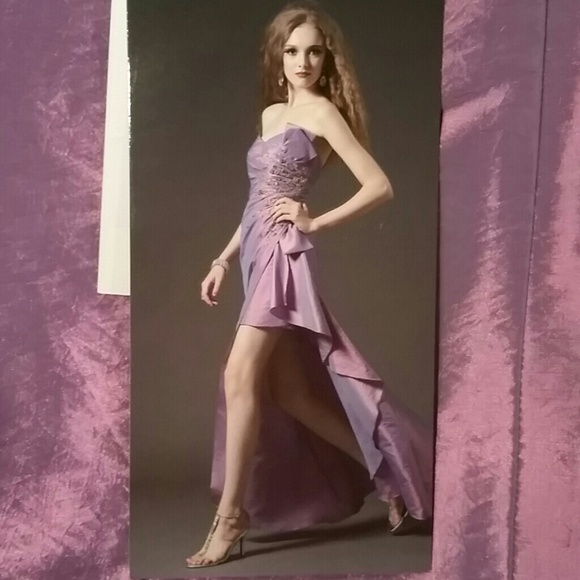 Mod Mauve (Shiny Purple) Laf?e Jasmine dress