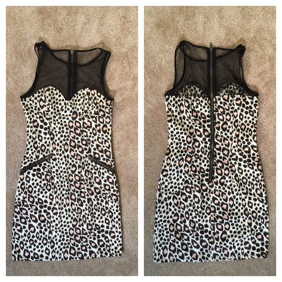 💋Retro Leopard Mesh Sweetheart Mini Dress - Picture 4 of 4