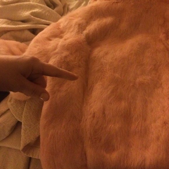 Pink Rabbit Fur Jacket - Picture 3 of 4
