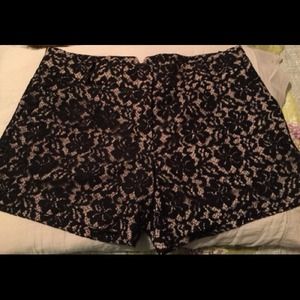 BCBGMAXAZRIA Pia Lace Shorts