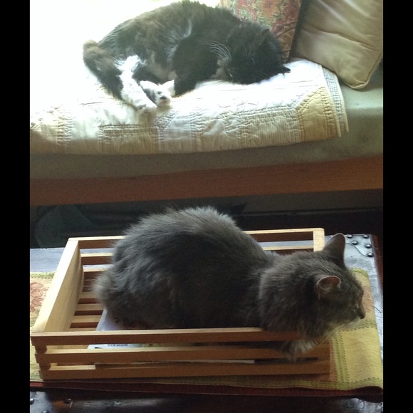 About missing tags.......... - Picture 4 of 8