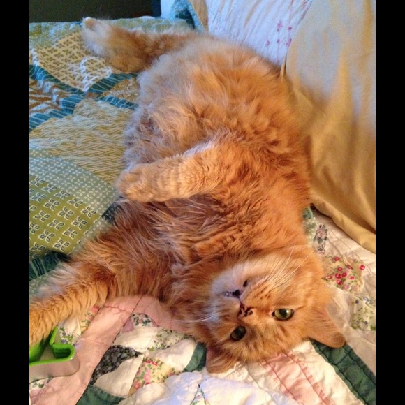 About missing tags.......... - Picture 5 of 8