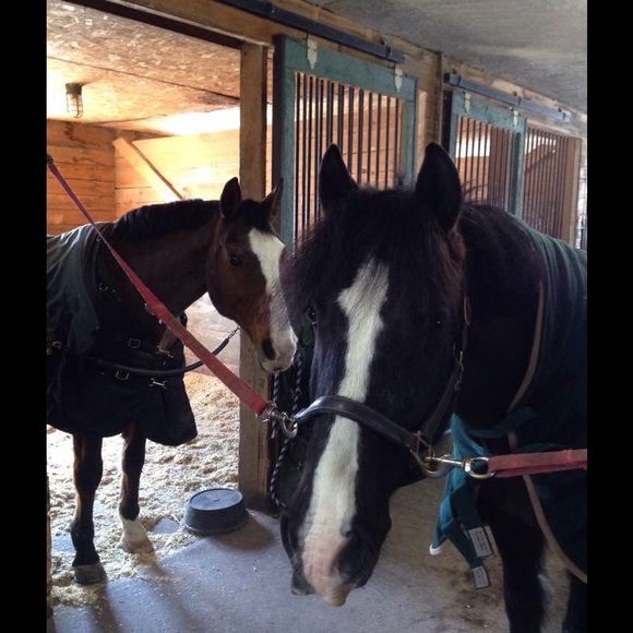 About missing tags.......... - Picture 3 of 8