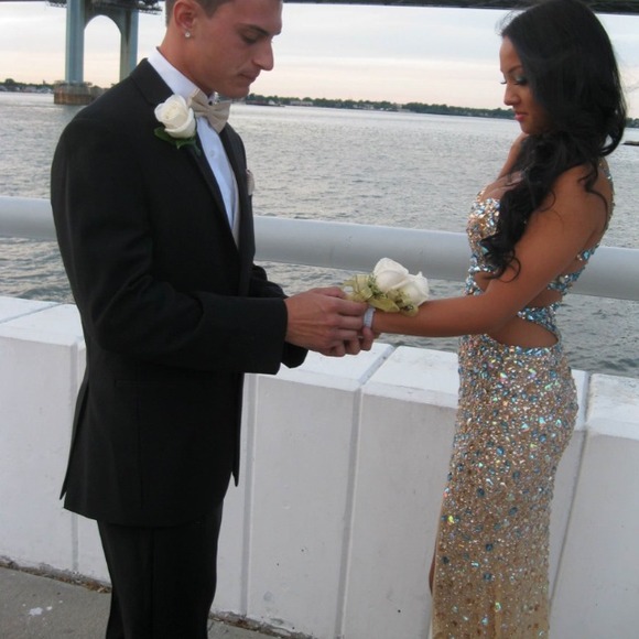 ⬇️Ⓜ️ Sexy Revealing Prom Dress - Picture 4 of 4