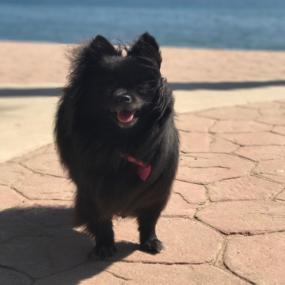 Just saying hi! *Top Rated Seller* *Ship in 1 day* - Picture 6 of 8