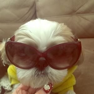 Used Gucci sunglasses