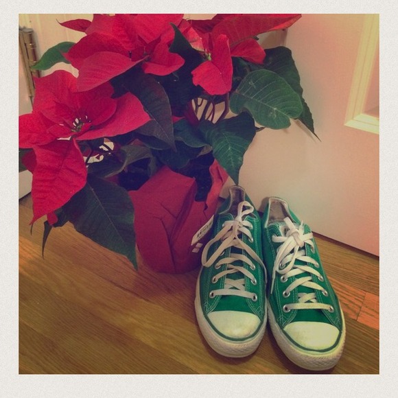 Bundle for @fondella33