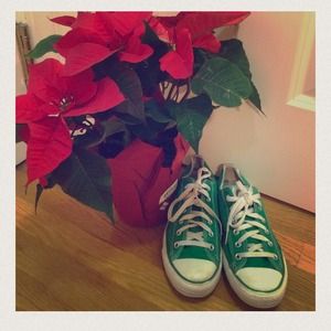 Bundle for @fondella33