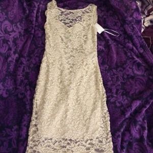 Brand new Lace tan/nude dress.
