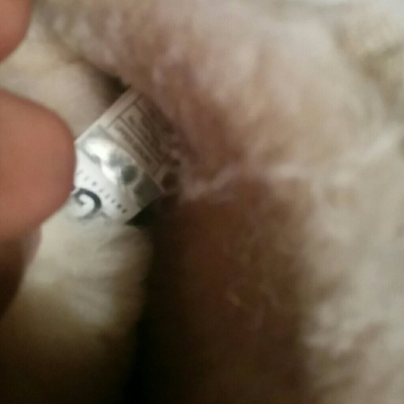 🚫SOLD🚫 - Picture 4 of 4