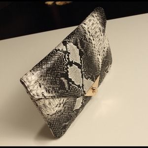Snake skin clutch