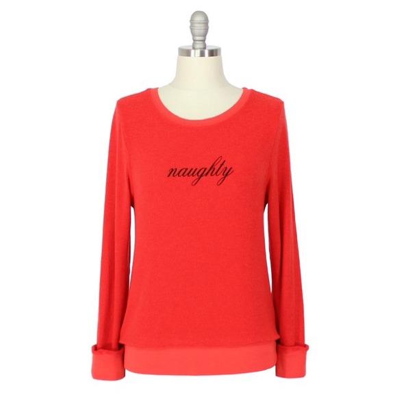 Wildfox Tops - 🚫FINAL REDUCT🚫WILDFOX Naughty Baggy Beach Jumper