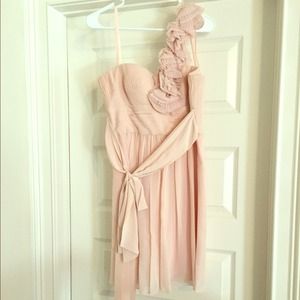 BCBG blush dress. Beautiful and flattering style