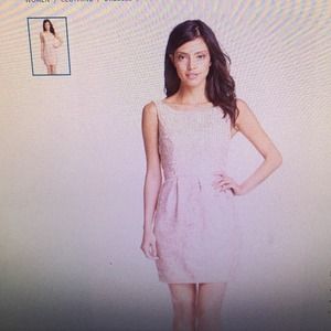 Bnwt Aidan Mattox lace sheath dress. Blush color.