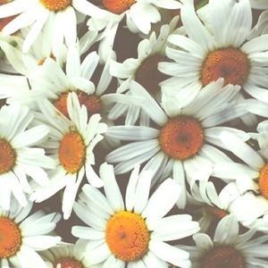 Gold Flats/Men's Slipper Bundle