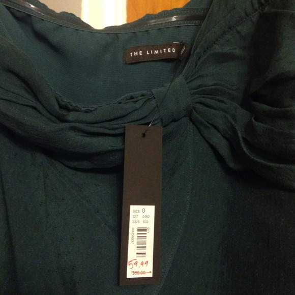 The Limited Green Dress - Picture 3 of 3