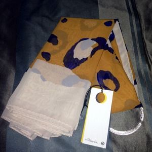3.1 Phillip Lim limited edition chiffon scarf.
