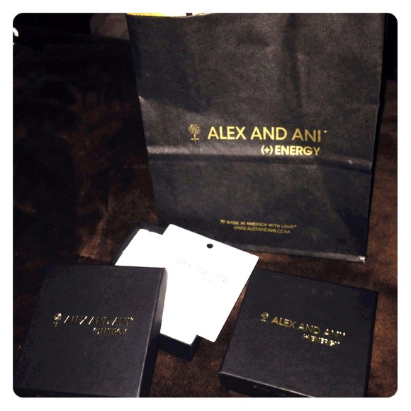Alex and Ani Boxes Bag & Jewelry Care Card
