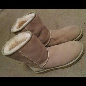 Classis Short UGGs