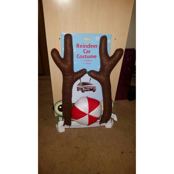 Reindeer car costume