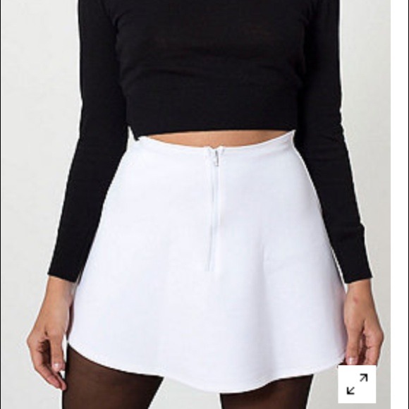 American Apparel Brigitte Mini Skirt