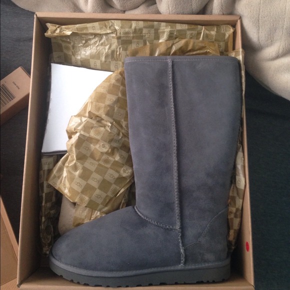 Tall grey Ugg boots and cleaner