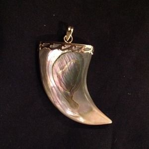 Abalone shell pendant