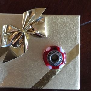 Pandora glass bead charm