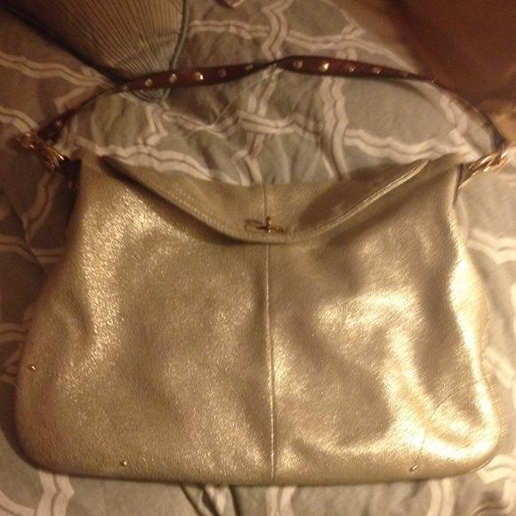 Gorgeous silver purse
