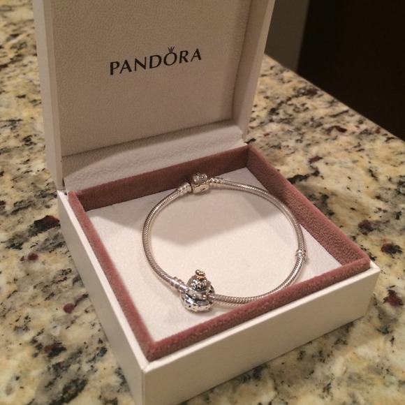 Pandora charm bracelet and charm