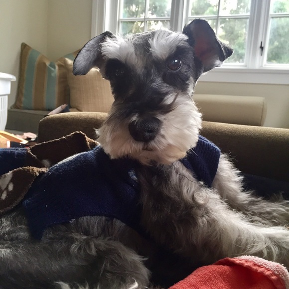 For Milo. ♥️ - Picture 3 of 6