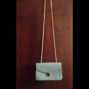Mint Envelope Cross body purse
