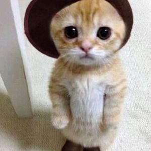 Bundle for @dawn42081