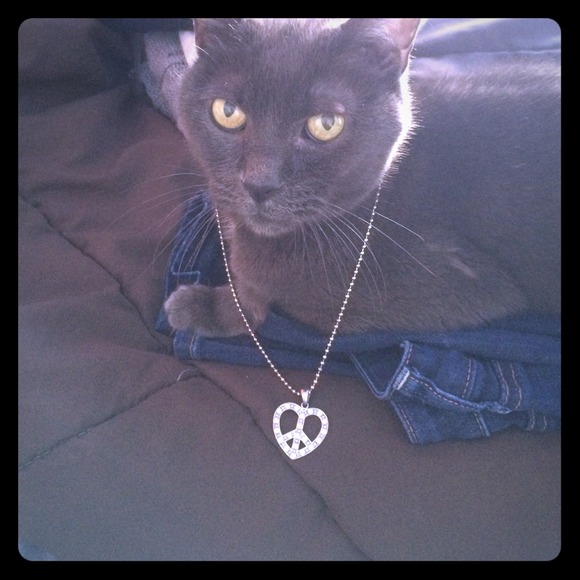 Heart peace sign neckless