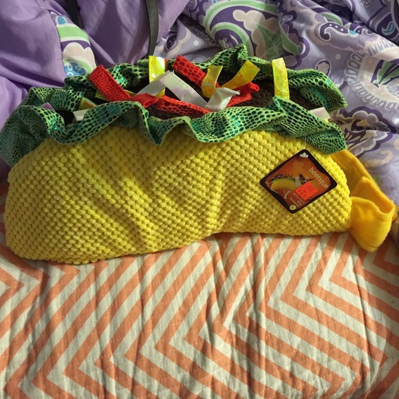 Dog costume