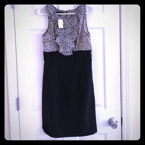 Business casual Maurice's dress