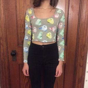 Pacsun Rainbow Cat Printed Crop Too