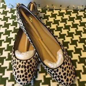 Ann Taylor NWT Daxia Zipper Flat 6.5