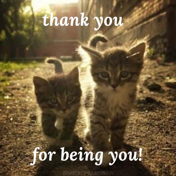 suggested user - Picture 2 of 3