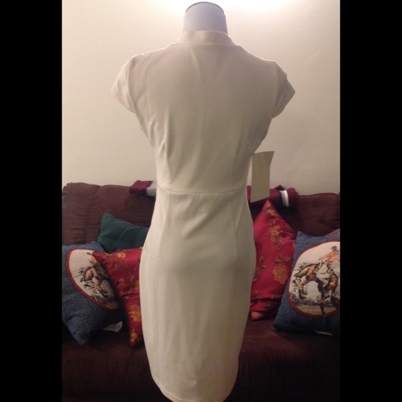 🌟 SOLD 🌟Elegant Boston Proper Dress - Picture 2 of 4