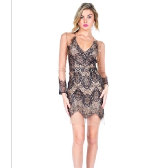❌❌SOLD❌❌ Gorgeous long sleeve mesh dress