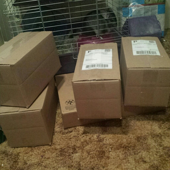 SHIPPING DAY