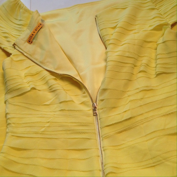 Alice & Olivia Lemon Chiffon Dress NWT - Picture 5 of 6