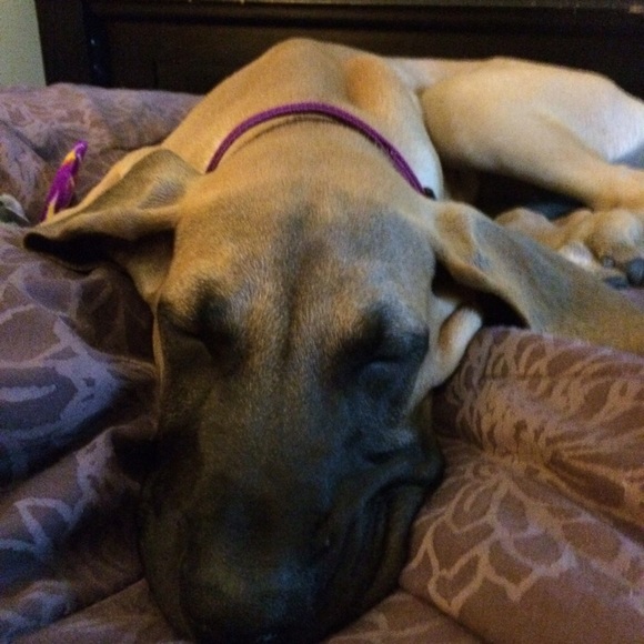 💜💚My Posh side-kicks!!💚💜 - Picture 2 of 3