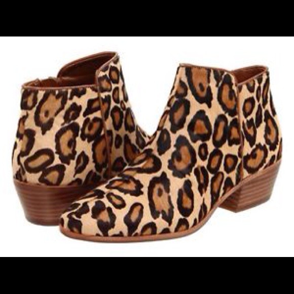 Also looking for these!! Sam edelman leopard sz 8