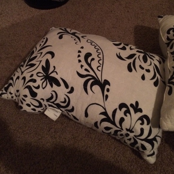 Two kinda worn out pillows with cute designs !