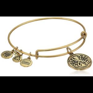 Alex & Ani Path of Life Bracelet