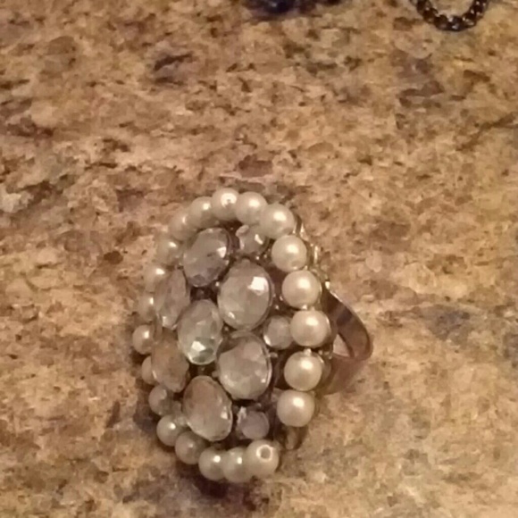 Peacock features necklace and pin for clothing or - Picture 2 of 4