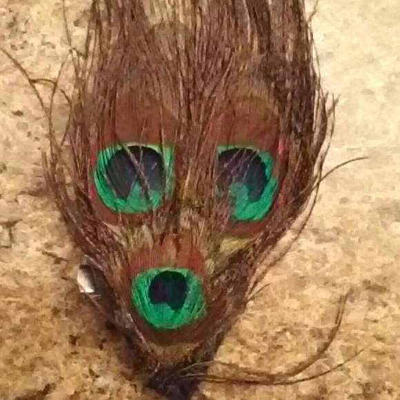 Peacock features necklace and pin for clothing or - Picture 4 of 4